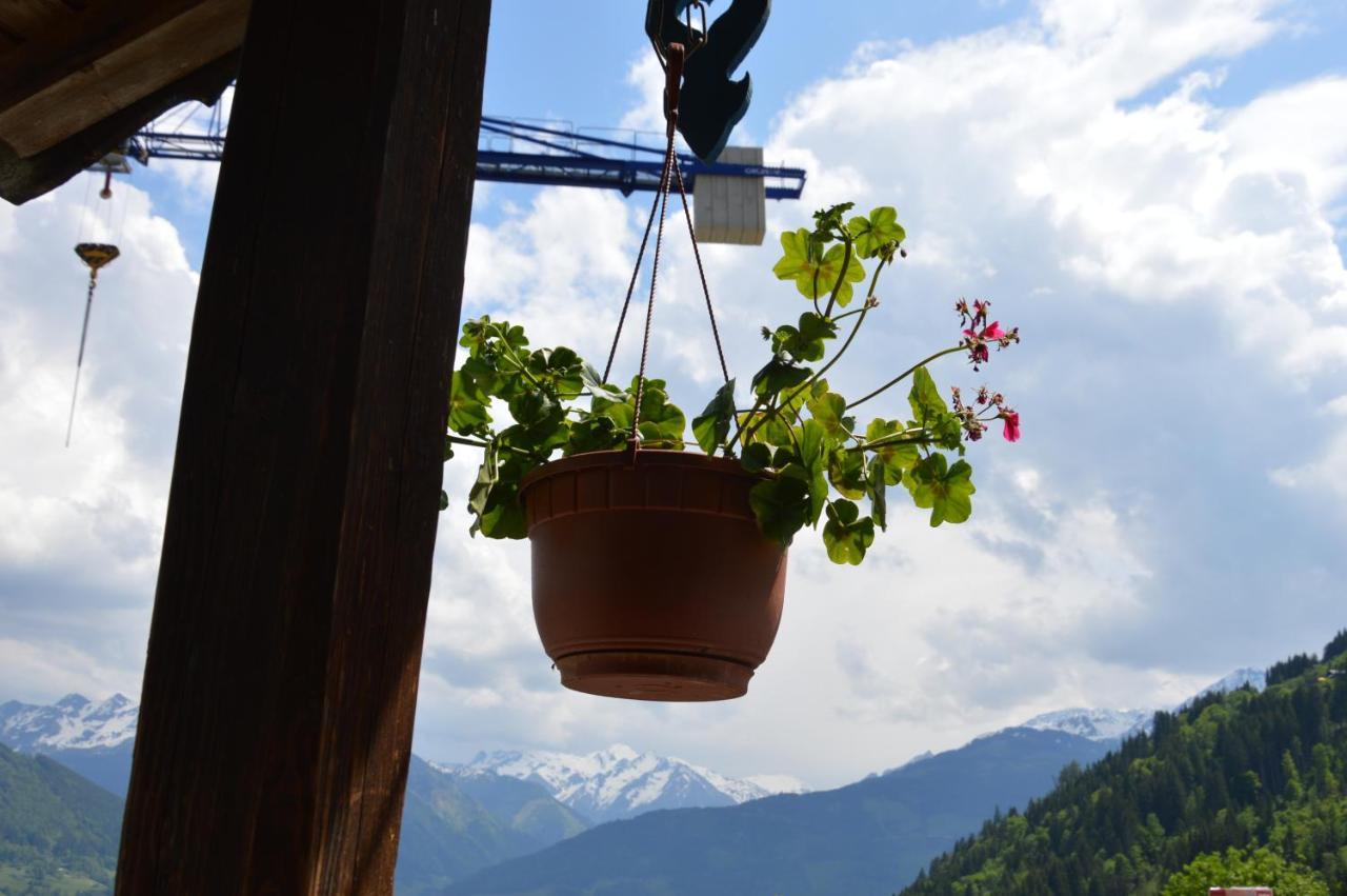 Haus Ebenberghof Daire Zell am See Dış mekan fotoğraf